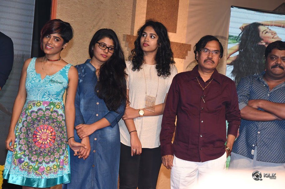 Fidaa-Movie-Sambaralu